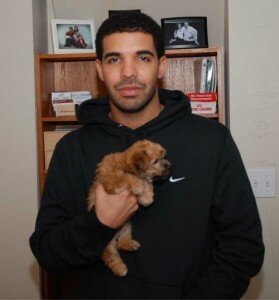 Drake With a Puppy