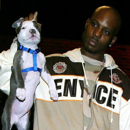 For $18K DMX Will Perform at Your Bar Mitzvah